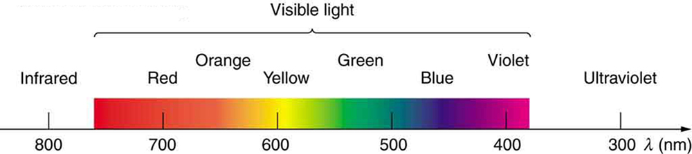 Dispersion The Rainbow And Prisms College Physics