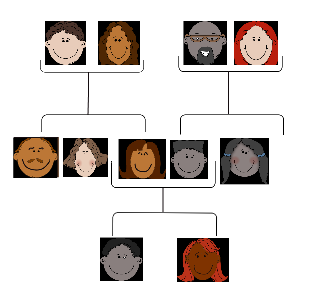 Image shows a family tree with three generations. The tree shows cartoon faces for each person on the tree, not names. The images show a variety of diverse faces.