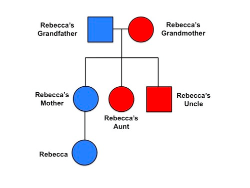 Pedigree showing Cancer in the family