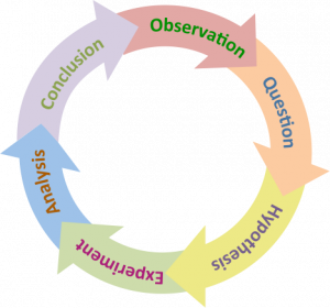 Diagram shows the scientific cycle arranged in a circular formation: Observation, questions, hypothesis, experiment, analysis, conclusion and then returning to observation again.