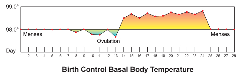 18.11.7 Basal Body Temperature