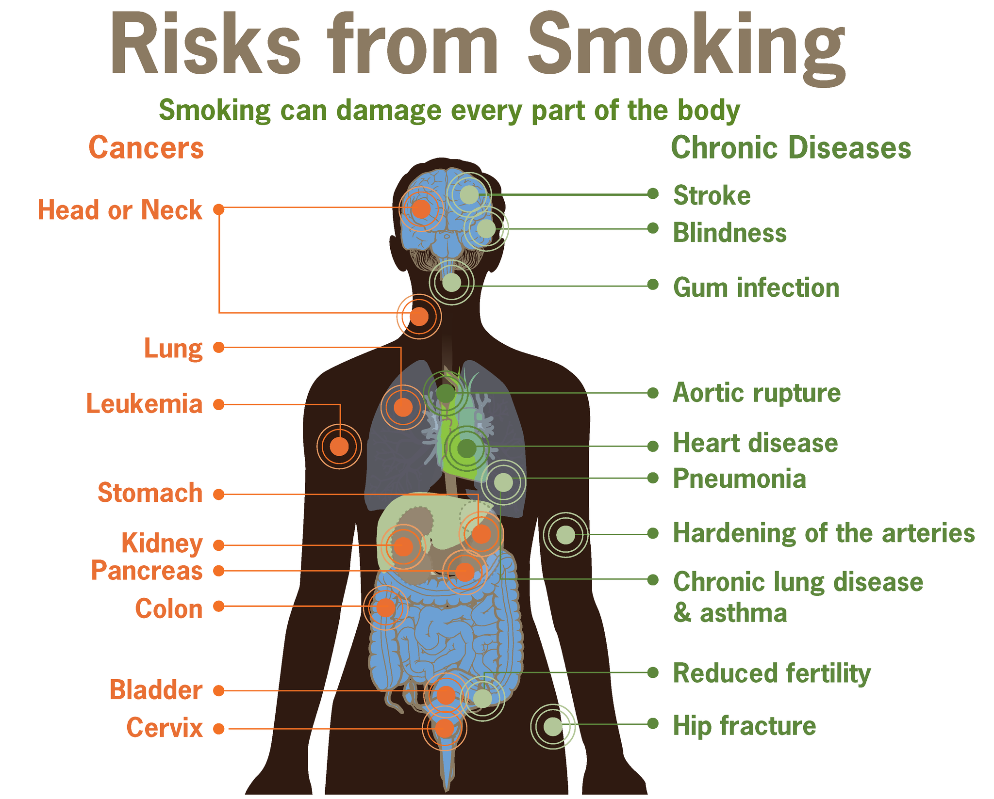 15.6.2 Effects of Smoking