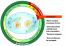 4.13 Mitosis and Cytokinesis – Human Biology