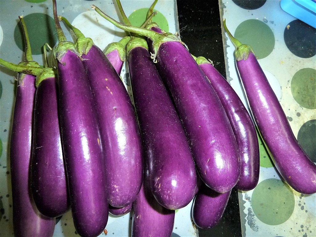 Eggplants
