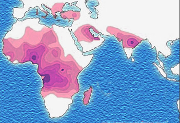 https://commons.wikimedia.org/wiki/File:Sickle_cell_distribution.jpg