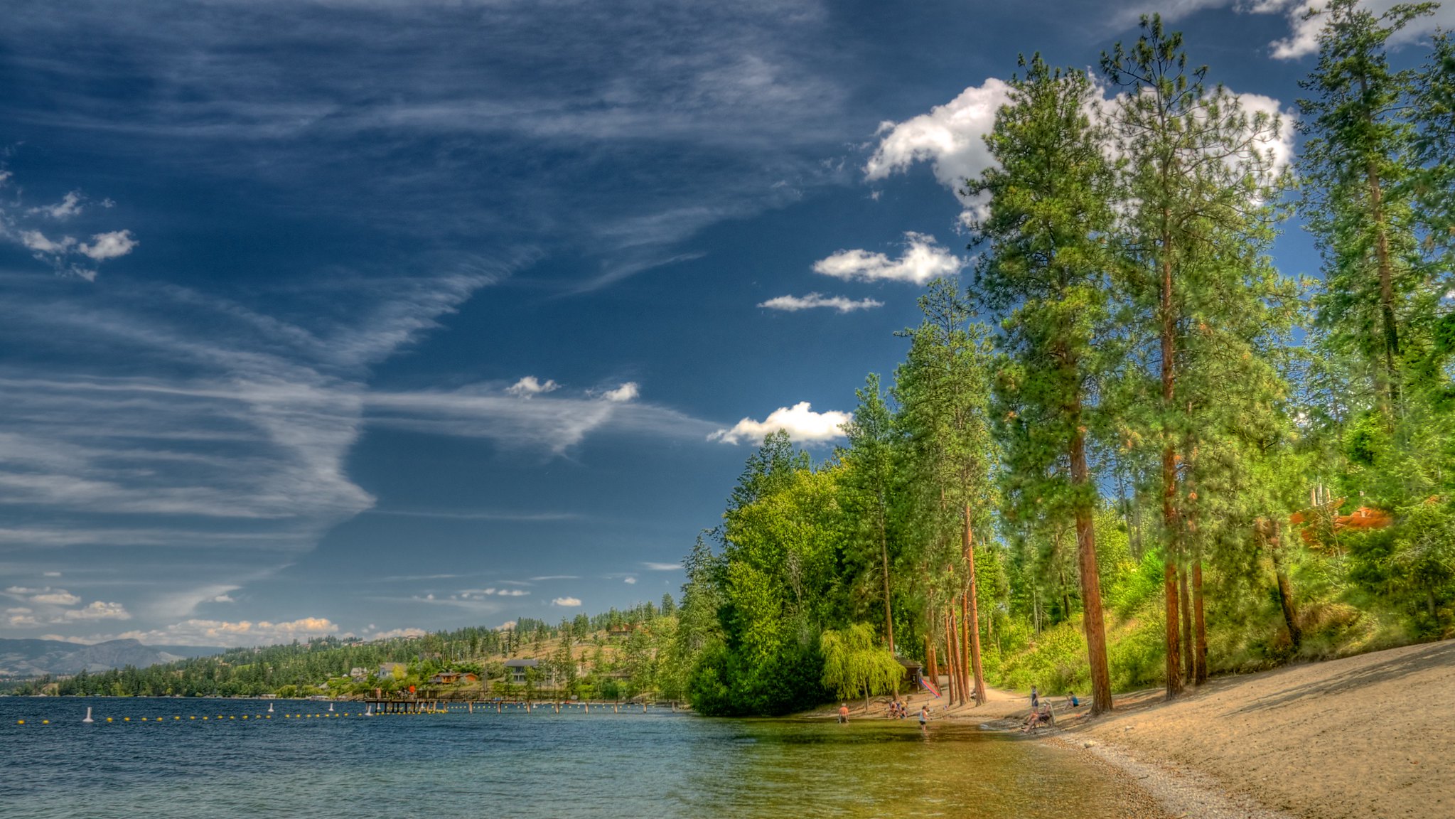 Deciduous trees lining a picturesque lakeshore.