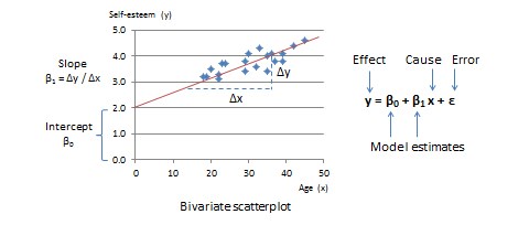Two-variable linear model