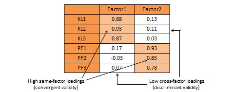 Exploratory factor analysis for convergent and discriminant validity