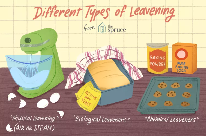 Chapter 3Categories of Leavening The Science of BakingLeaveners