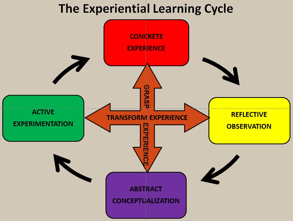 A graphic depicting the experiential learning cycle. Four boxes are arranged in a circle, representing the phases of the cycle: concrete experience, reflective observation, abstract conceptualization, and active experimentation. Two arrows are drawn between two pairs of boxes to demonstrate the relationship: it is through concrete experience and abstract conceptualization that learners grasp experience, and through reflective observation and active experimentation that they transform experience.