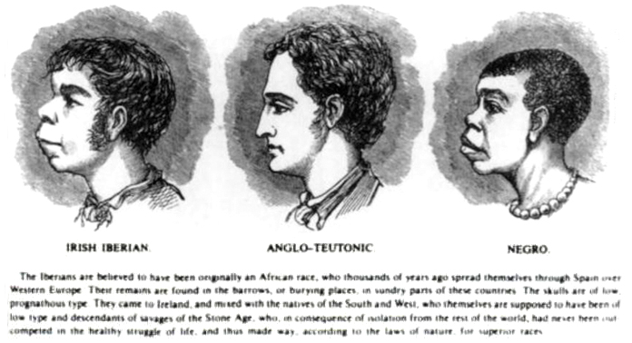 This drawing of the profiles of three individuals, an "Irish Iberian," an "Anglo-Teutonic," and a "Negro" exaggerates the similarities between the "Iberian" and the "Negro" while exaggerating the differences between these two and the "Anglo."