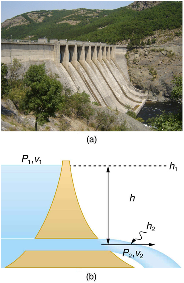 Part a of the figure shows a photograph of a dam with water gushing from a large tube at the base of a dam. Part b shows the schematic diagram for the flow of water in a reservoir. The reservoir is shown in the form of a triangular section with a horizontal opening along the base little near to the base. The water is shown to flow through the horizontal opening near the base. The height which it falls is shown as h two. The pressure and velocity of water at this point are P two and v two. The height to which the water can fall if it falls from a height h above the opening is given by h 2. The pressure and velocity of water at this point are P one and v one.