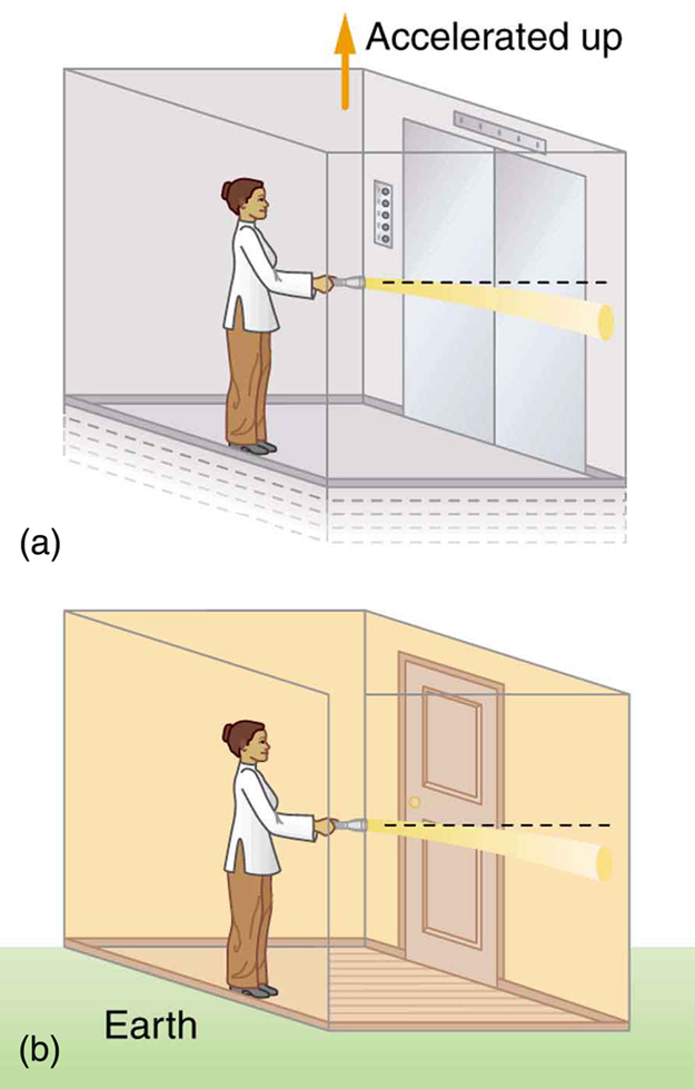 Figure a shows a person holding a flashlight and standing in an elevator that is accelerating upward. The flashlight is held horizontally, but the light beam from the flashlight hits the facing wall slightly below the horizontal path. Figure b shows the same thing but the elevator is at rest on the Earth.