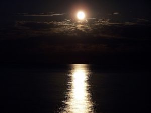 A dark night is lit by moonlight. The moonlight is falling on the lake and as it hits, the lake’s shiny surface reflects it. A bright strip of moonlight is seen reflecting from the lake on a dark background reflecting the night sky.