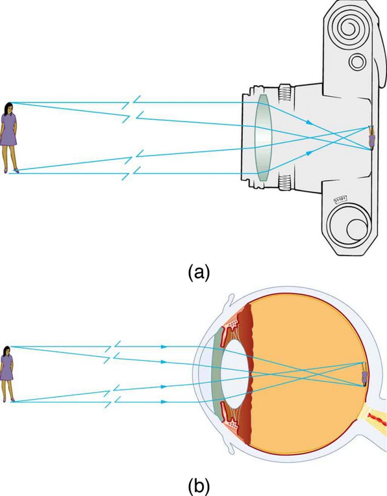 25.6 Image Formation By Lenses – College Physics