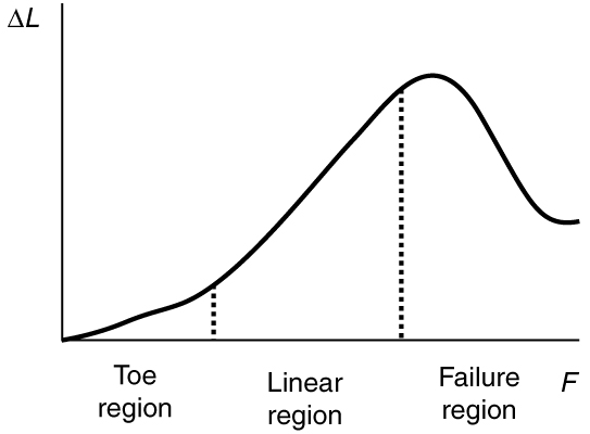 The strain on mammalian tendon is shown by a graph, with strain along the x axis and tensile stress along the y axis. The stress strain curve obtained has three regions, namely, toe region at the bottom, linear region between, and failure region at the top.