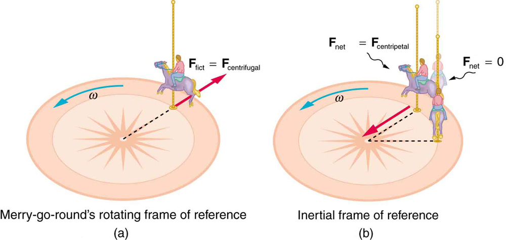 In figure a, looking down on the counterclockwise rotation of a merry-go-round, we see a child sitting on a horse rotating in counterclockwise direction with angular velocity omega. The fictious force is equal to the centrifugal force at the point of contact between the pole carrying horse and the merry-go-round surface, which is from the center of the round base toward outside. This is the merry-go-round’s rotating frame of reference. In figure b, the merry-go-round’s inertial frame of reference is given, where two horses carrying children are seen rotating with angular velocity omega in the counterclockwise direction. The net force of first horse is equal to the centripetal force, shown here with an arrow from the first horse toward the center of the circular base. A shadow of the second horse is shown going past the right side of the first horse in straight direction, whose net force is equal to zero. A dotted line from second as well as first horse are shown meeting at the center point making an angle.