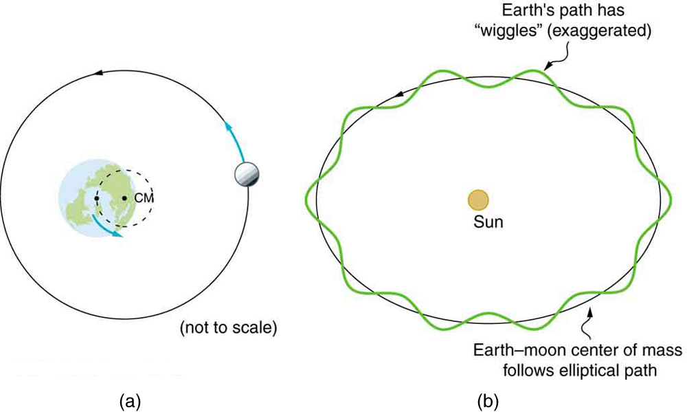 Figure a shows the Earth and the Moon around it orbiting in a circular path shown here as a circle around the Earth with an arrow over it showing the counterclockwise direction of the Moon. The center of mass of the circle is shown here with a point on the Earth that is not the Earth’s center but just right to its center. Figure b shows the Sun and the counterclockwise rotation of the Earth around it, in an elliptical path, which has wiggles. Along this path the center of mass of the Earth-Moon is also shown; it follows non-wiggled elliptical path.