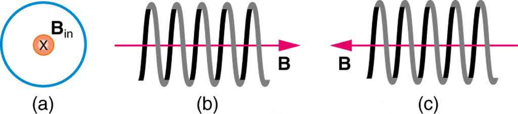 Figure a shows the magnetic field into the page in the middle of a loop. Figure b shows the magnetic field within a coil running from left to right. Figure c shows B running from right to left within a coil.