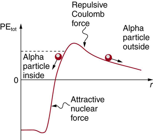 The image shows potential energy curve. The curve starts from negative Y axis to positive Y axis and alpha particles are shown trapped inside the nucleus due to attractive nuclear force. The alpha particles outside the range of nuclear force experience the repulsive Coulomb force which keeps them outside the nucleus.